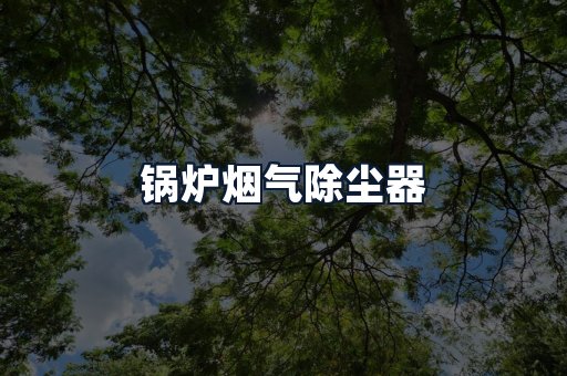 锅炉烟气除尘器