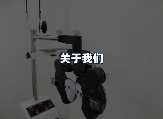 关于我们
